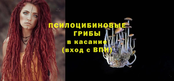 хмурый Михайловск