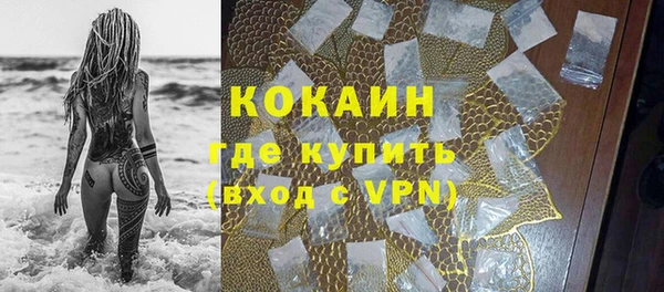 твердый Михайлов
