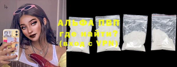 твердый Михайлов