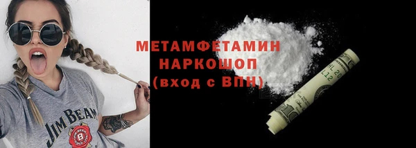 прущие грибы Новозыбков