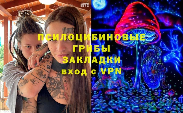 хмурый Михайловск