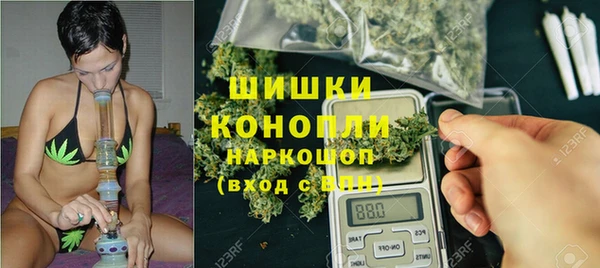 твердый Михайлов