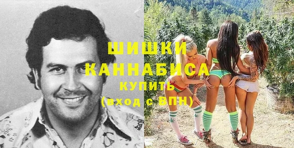 хмурый Михайловск
