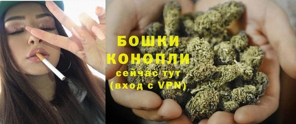 твердый Михайлов