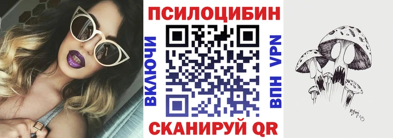 Псилоцибиновые грибы Cubensis  Псков 